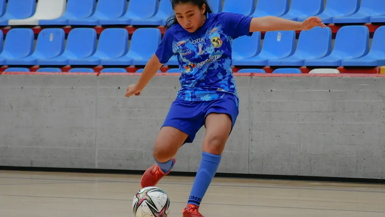 Futsal Ball Player Kicking