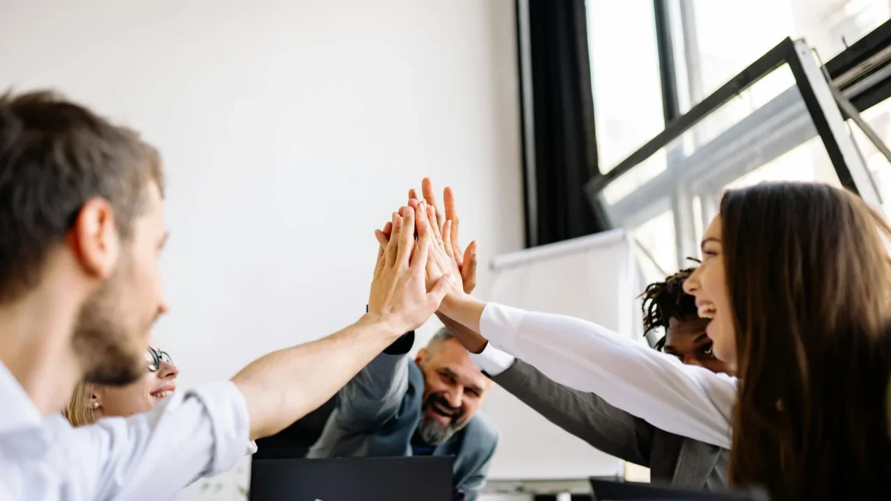 Partnership Successful Project