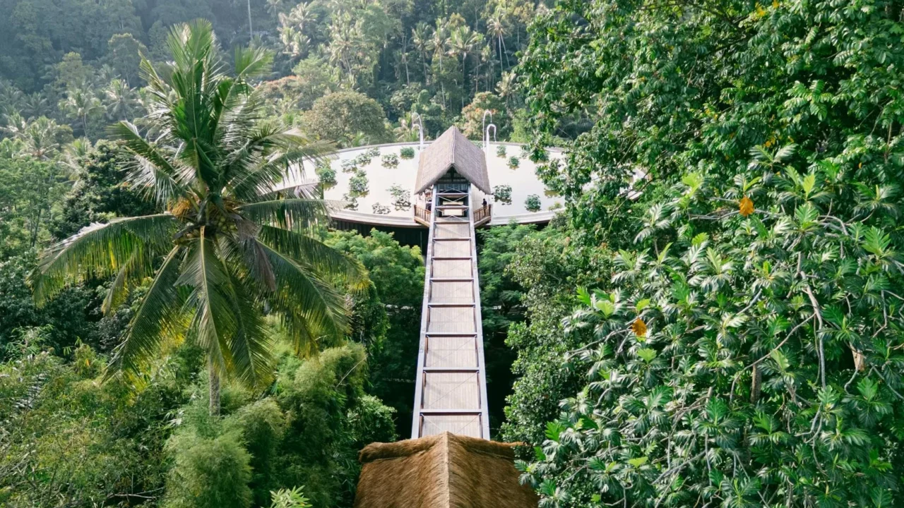 River View Restaurant Jungle Dining Tropical Forest