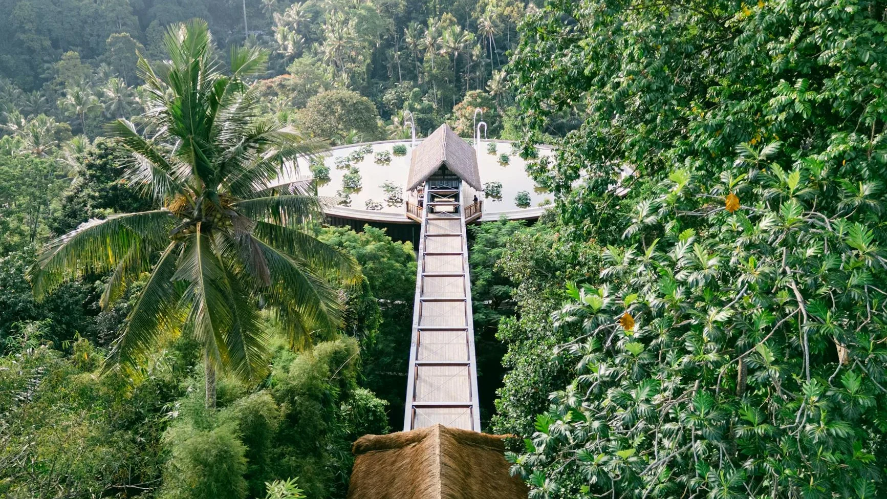 River View Restaurant Jungle Dining Tropical Forest